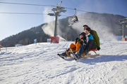 Schlittenfahren in Oberaudorf