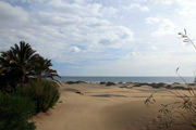 Dünen in Maspalomas