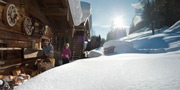 Almhütte Flachau