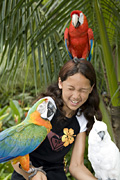 Papageien im Vogelpark